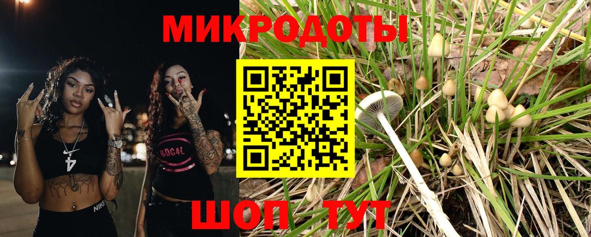 Псилоцибиновые грибы GOLDEN TEACHER Моздок