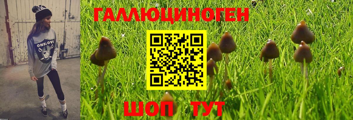 Псилоцибиновые грибы Psilocybine cubensis  Вход с VPN  Моздок  Галлюциногенные грибы MAGIC MUSHROOMS 