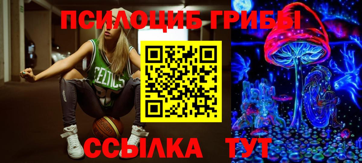 ГАШ Моздок